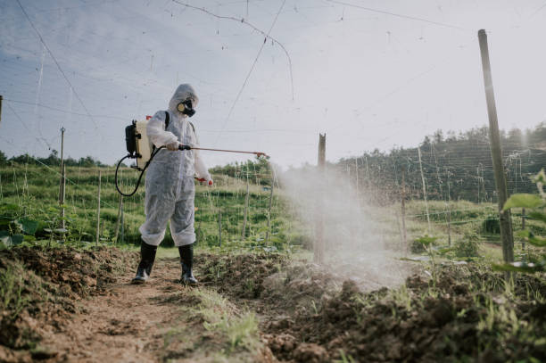 Best Commercial Pest Control Services  in Rock Hill, NY