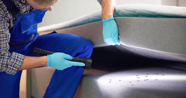 Best Pest Prevention Services  in Rock Hill, NY