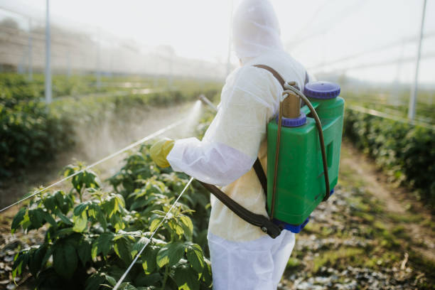 Best Best Pest Control Companies  in Rock Hill, NY